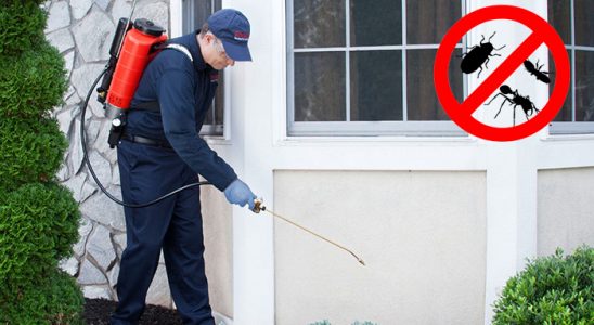 Mazıdağı Akrep İlaçlama böcek ilaçlama ve haşere kontrolü — ilaclama-tr.com